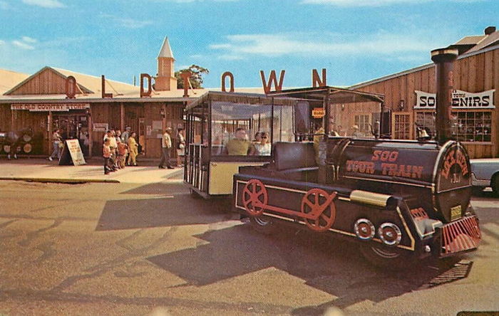 Soo Train Tours - Old Postcard (newer photo)